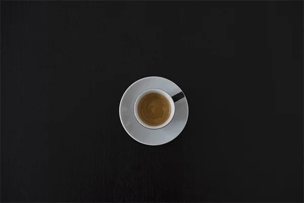 Lomatiumの見分け方と間違えないコツをプロが教える