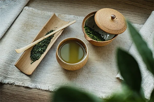 トマトと一緒に植えるべきハーブ6選【効果的な組み合わせと育て方】