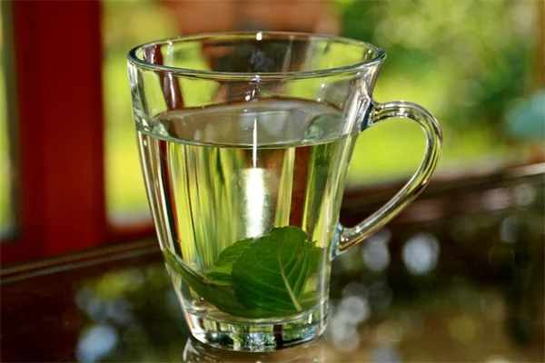 【保存版】ピスタチオの病気と害虫対策、たった5分で見分けるポイント