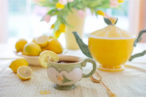 【保存版】ピスタチオの病気と害虫対策、たった5分で見分けるポイント